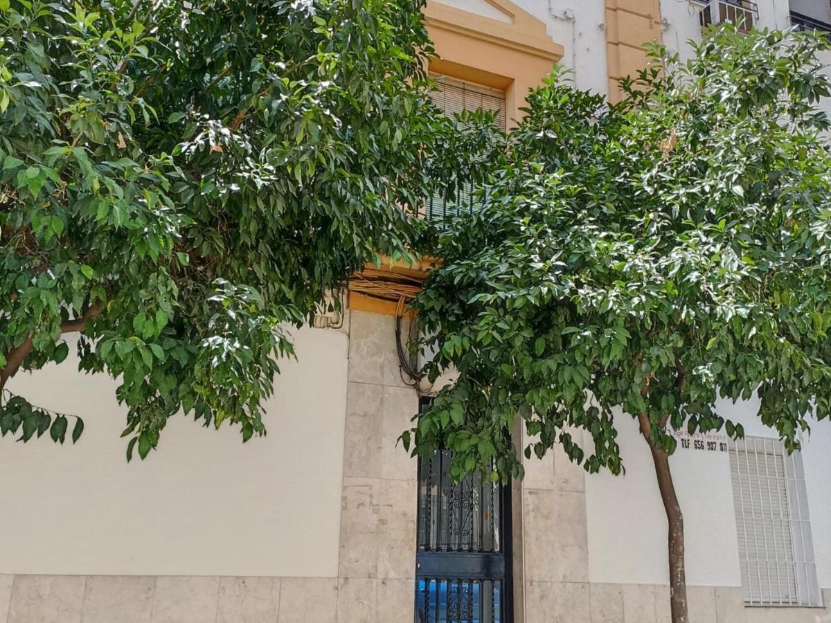 Modernos Apartamentos en Ciudad Jardín Córdoba Exterior foto